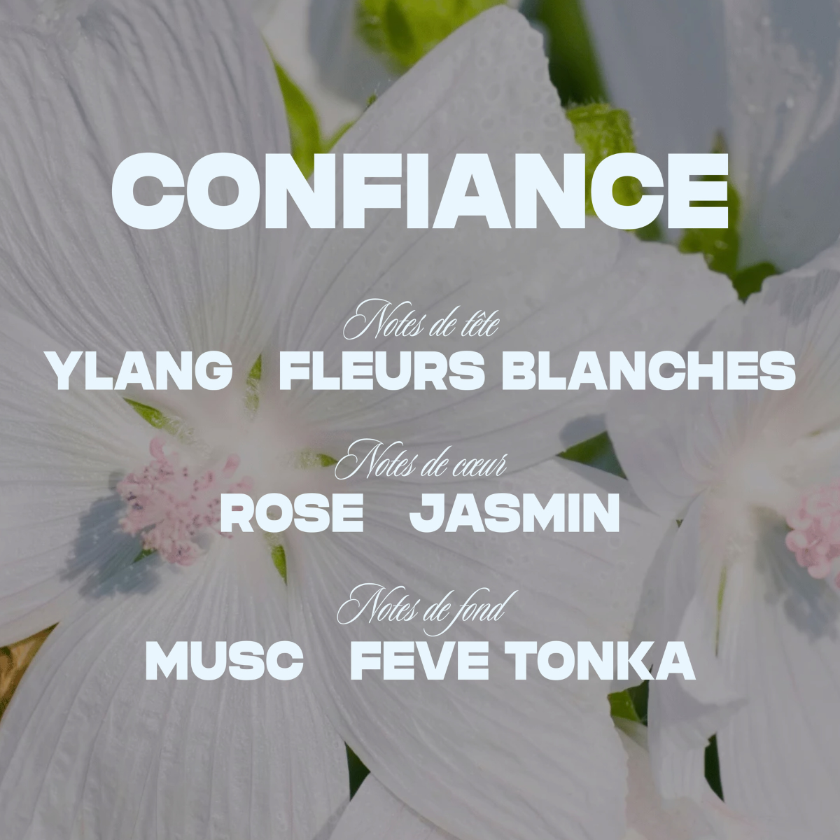 Recharge – Votre rituel, encore et encore