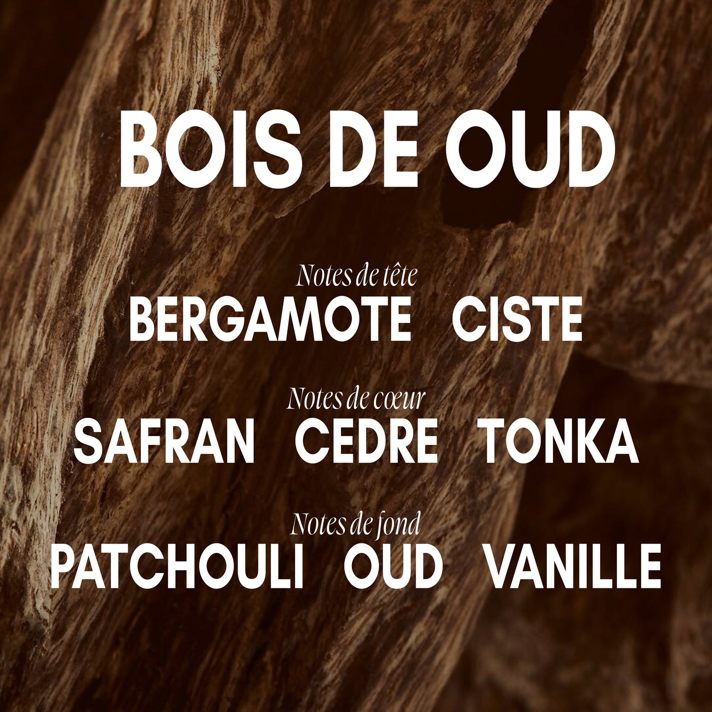 Recharge – Votre rituel, encore et encore